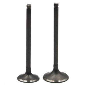 Motorcycle Engine Intake Exhaust Valve for Honda XR 150 XR125L XR150 NEW MEGA PRO 150 GL150 Engine Spare Parts